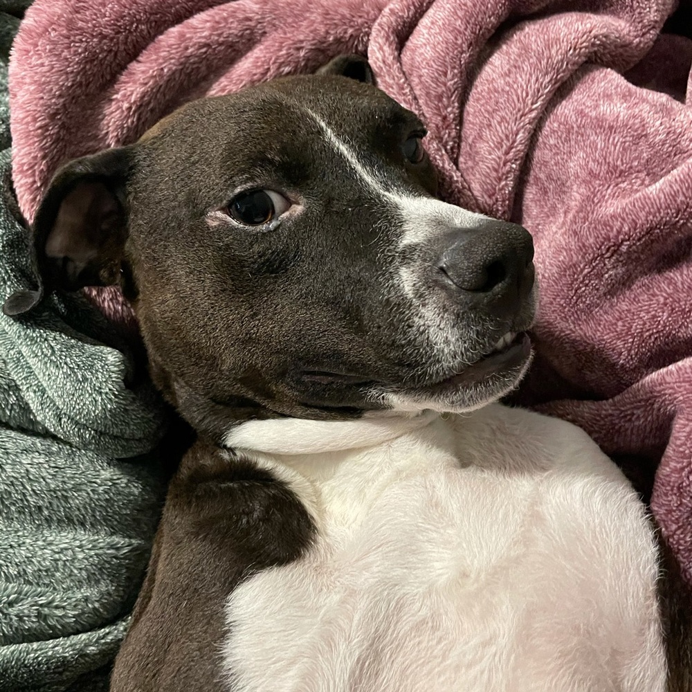 Meet your Posher, Carla